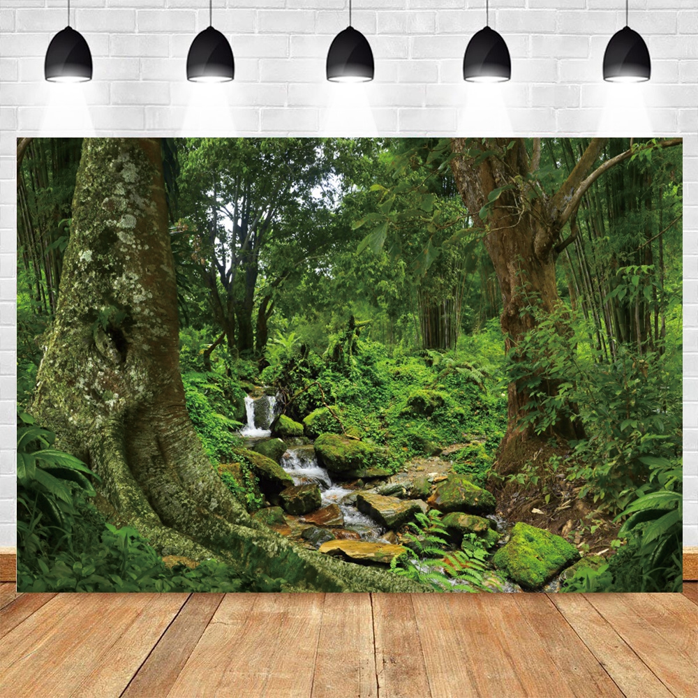 Tropical Rainforest Photograph - Outdoor Adventure Background のレビューと価格